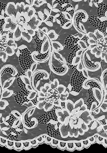 CORDED LACE - IVORY