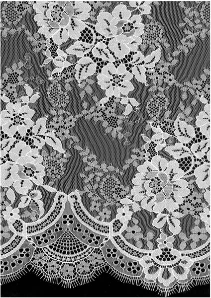 CORDED LACE - IVORY